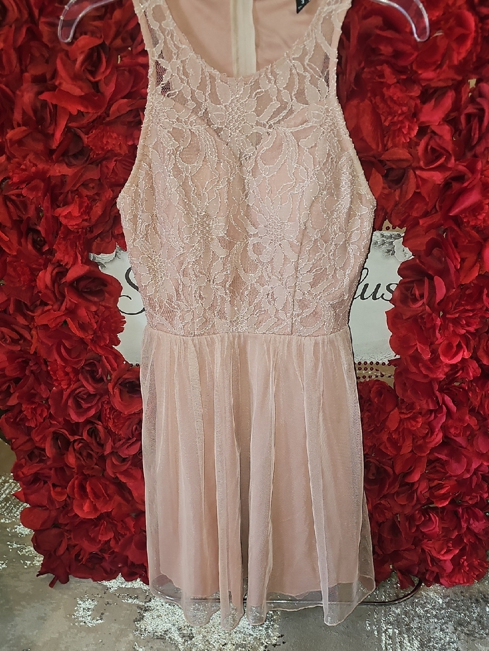 Speechless Women's Blush Pink Lace Dress with Sheer Details Size 3